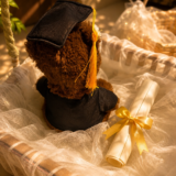 Graduation-Teddy-Bear-Plush-2