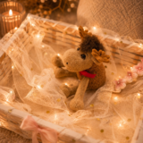 Cuddly-Moose-Plush-1